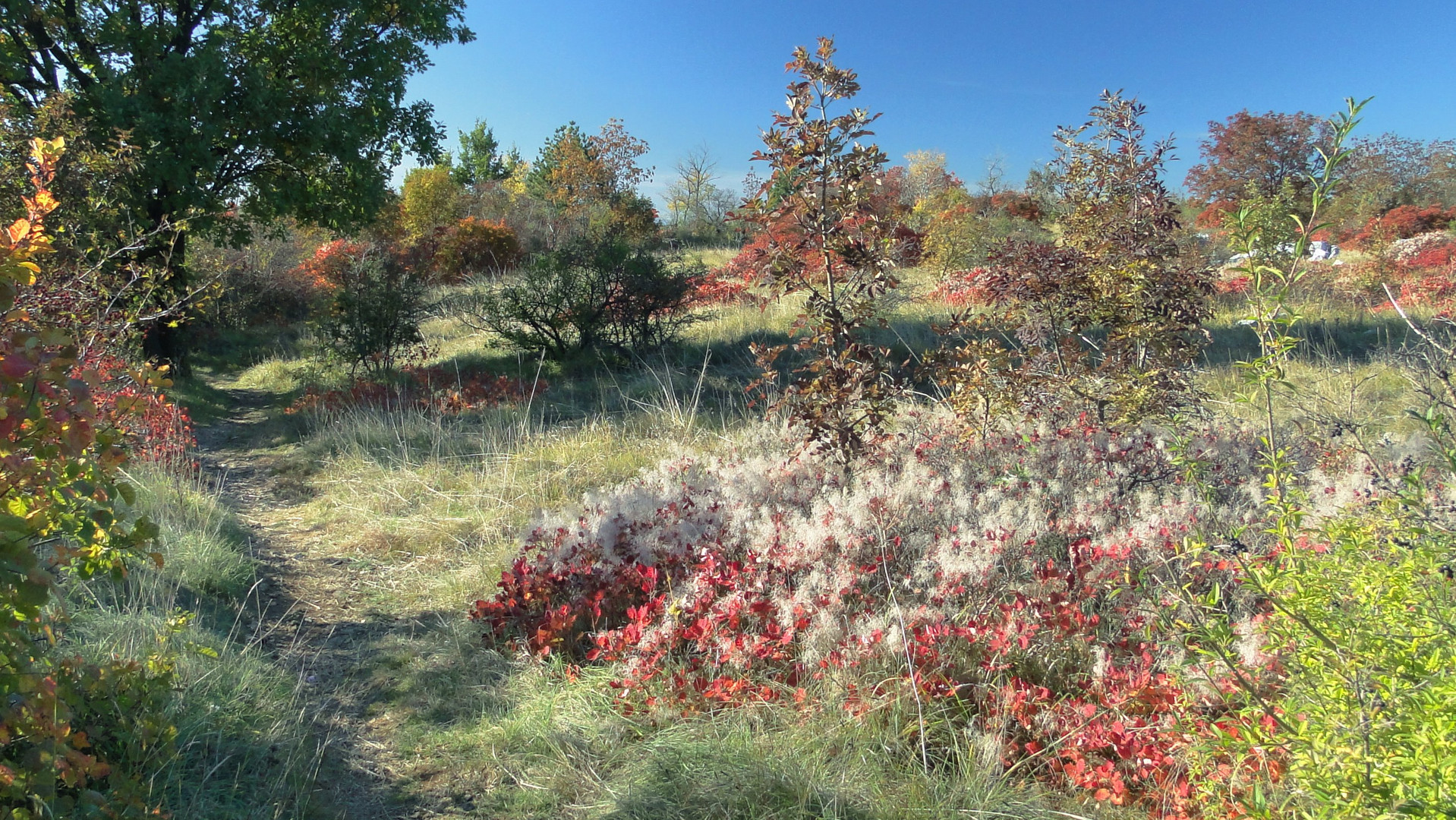 Carso autunnale