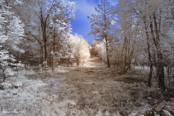 Carso triestino visto all'infrarosso nel primo pomeriggio