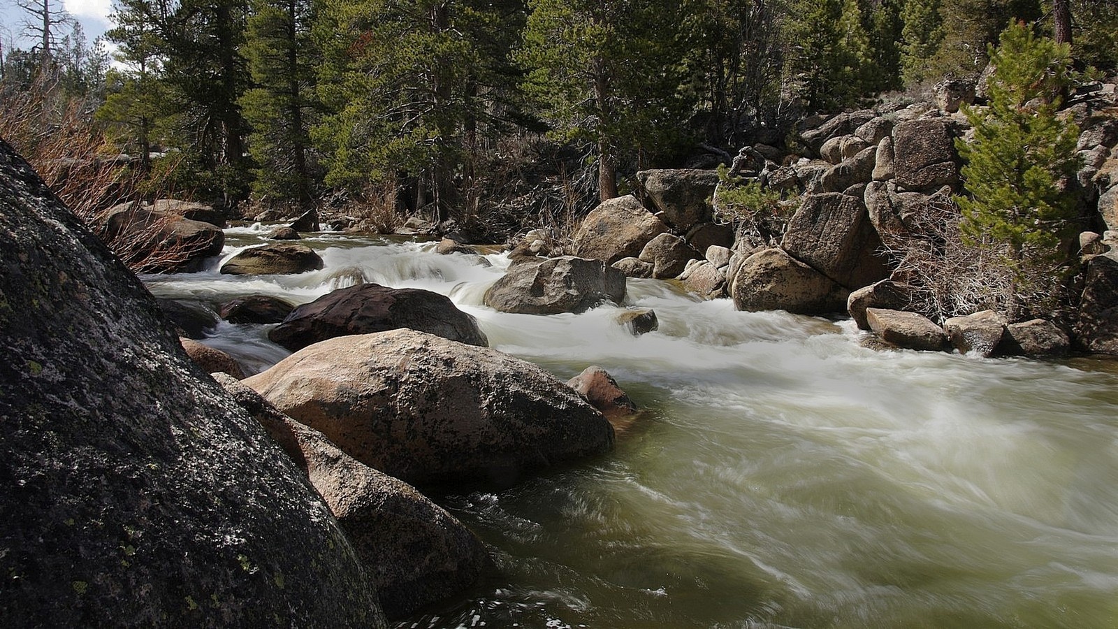 Carson River - North Fork