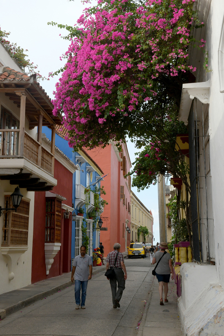 Cartagena 07: Street