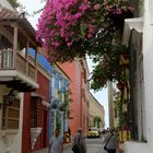 Cartagena 07: Street