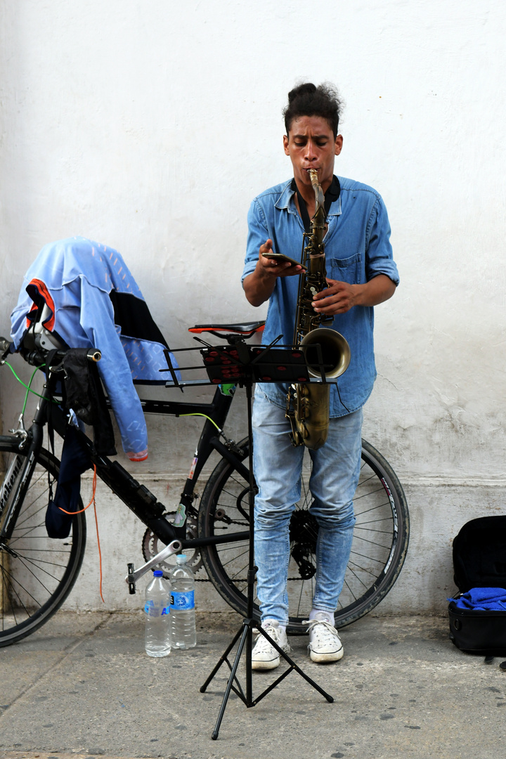 Cartagena 17, Musiker