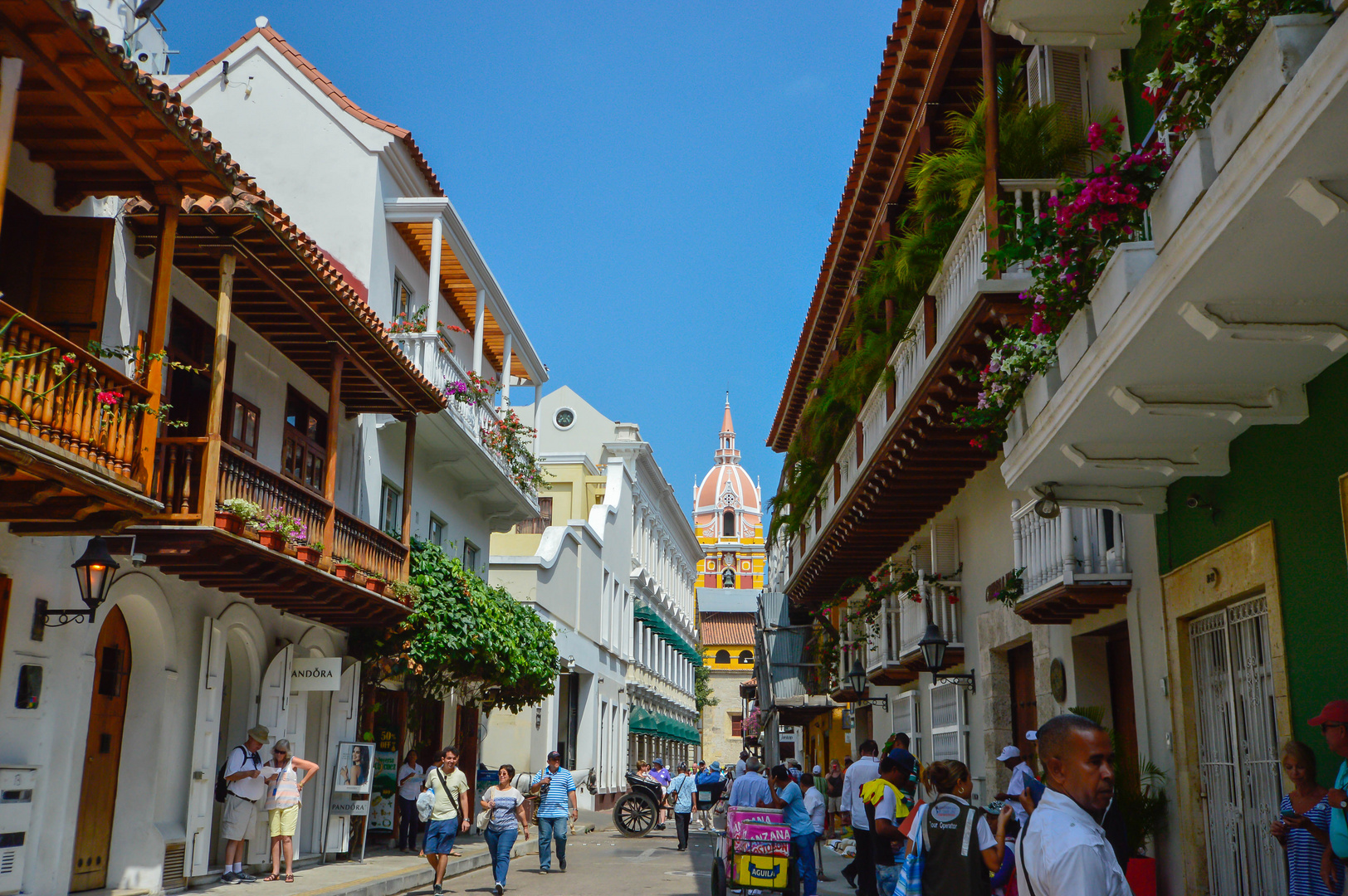 Cartagena de Indias - der Stolz Kolumbiens - Januar 2016