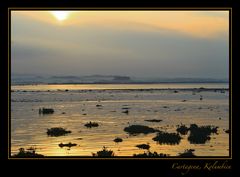 Cartagena Sunrise