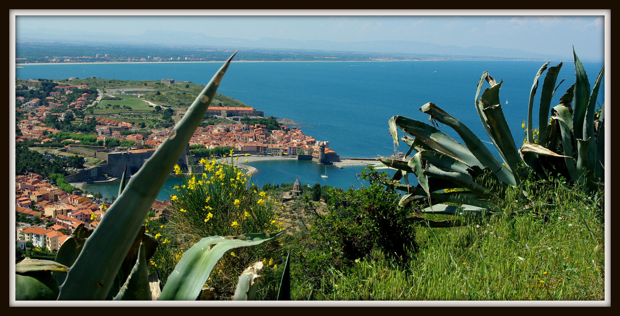 carte postale de Collioure - 66