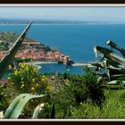 carte postale de Collioure - 66