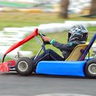 Carting en la reseva, Castillo de las Guardas, Huelva.