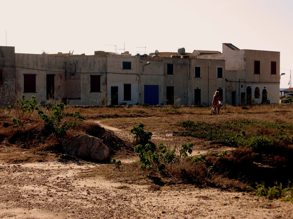 cartolina da favignana