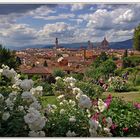 cartolina da firenze.... come una volta !