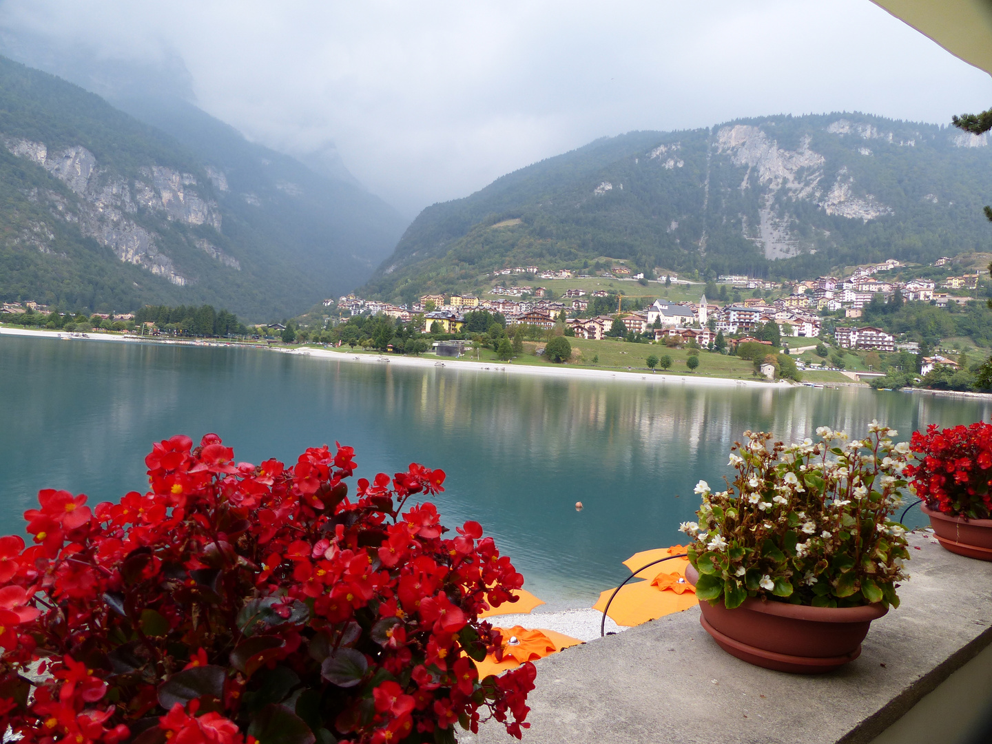 cartolina da Molveno TN