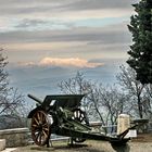 Cartolina da Monte San Michele