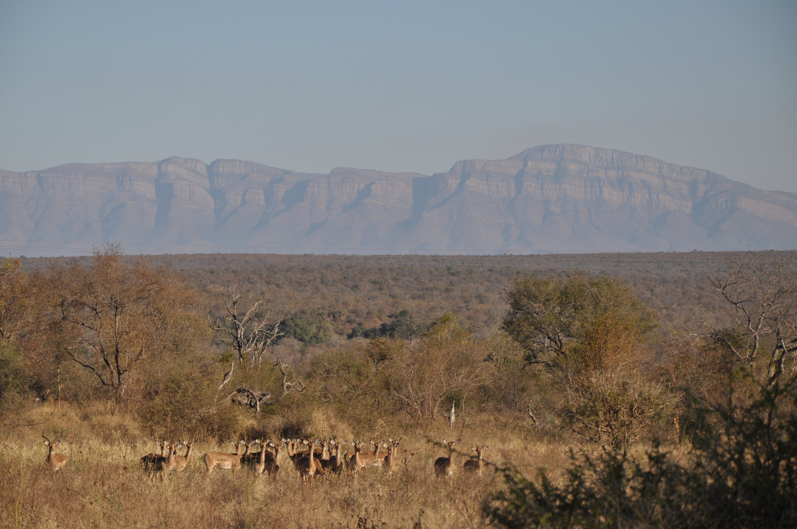 cartolina dal South Africa