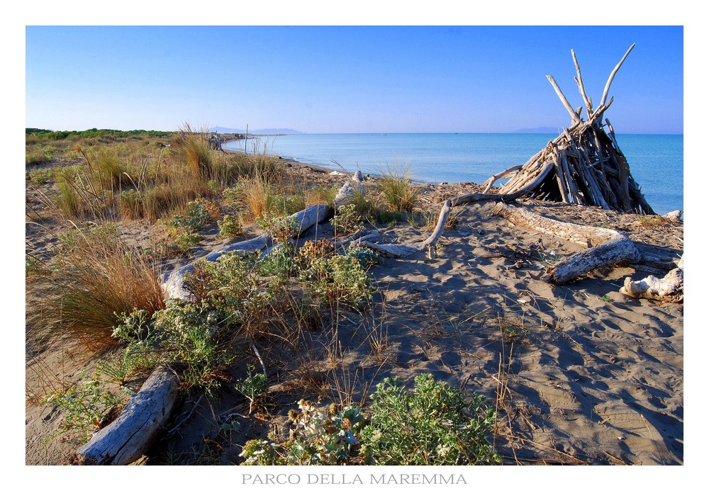 Cartolina dalla Maremma