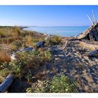 Cartolina dalla Maremma