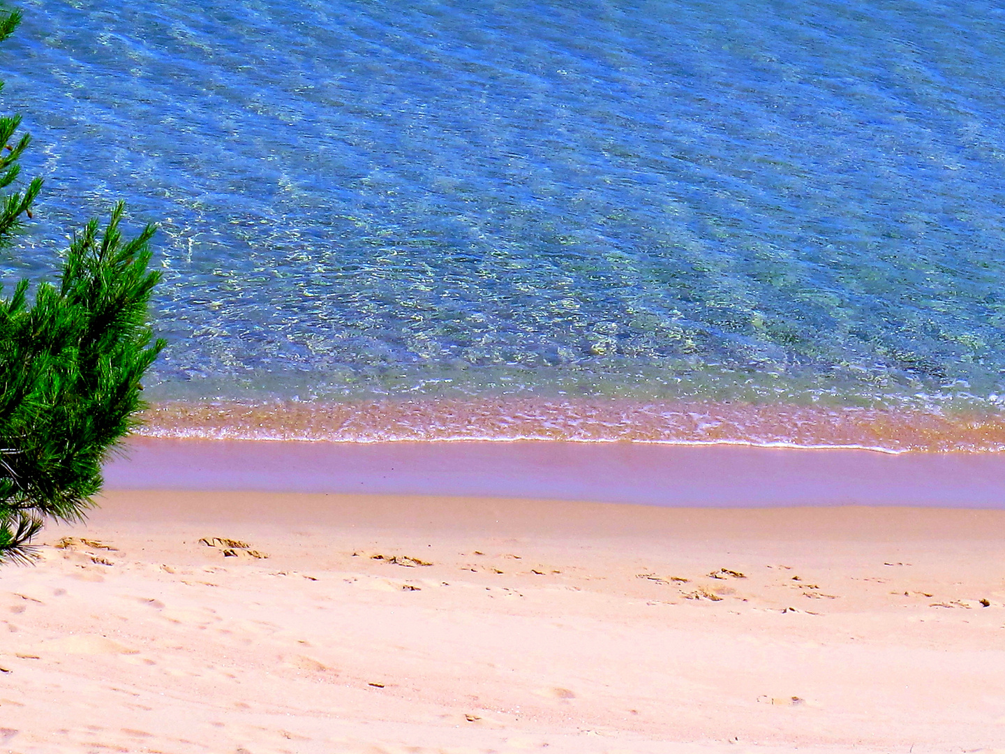 CARTOLINA DALLA SPIAGGIA