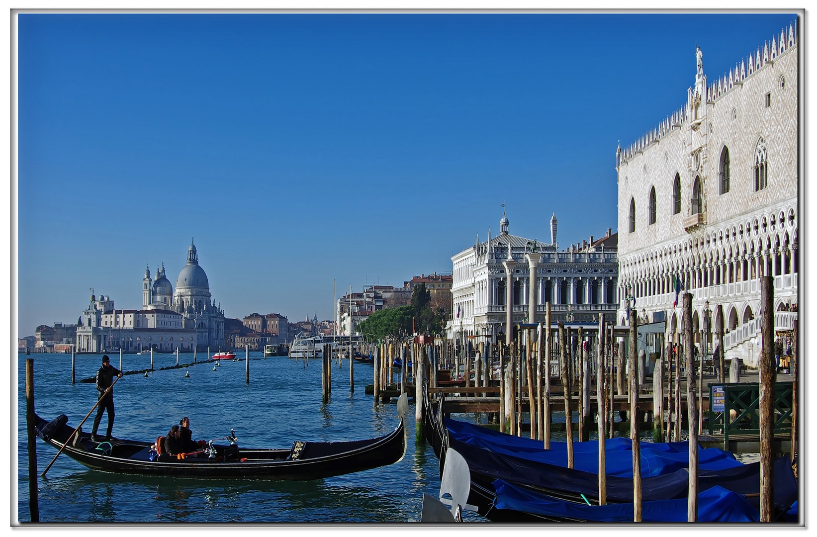 cartolina di venezia dedicata...