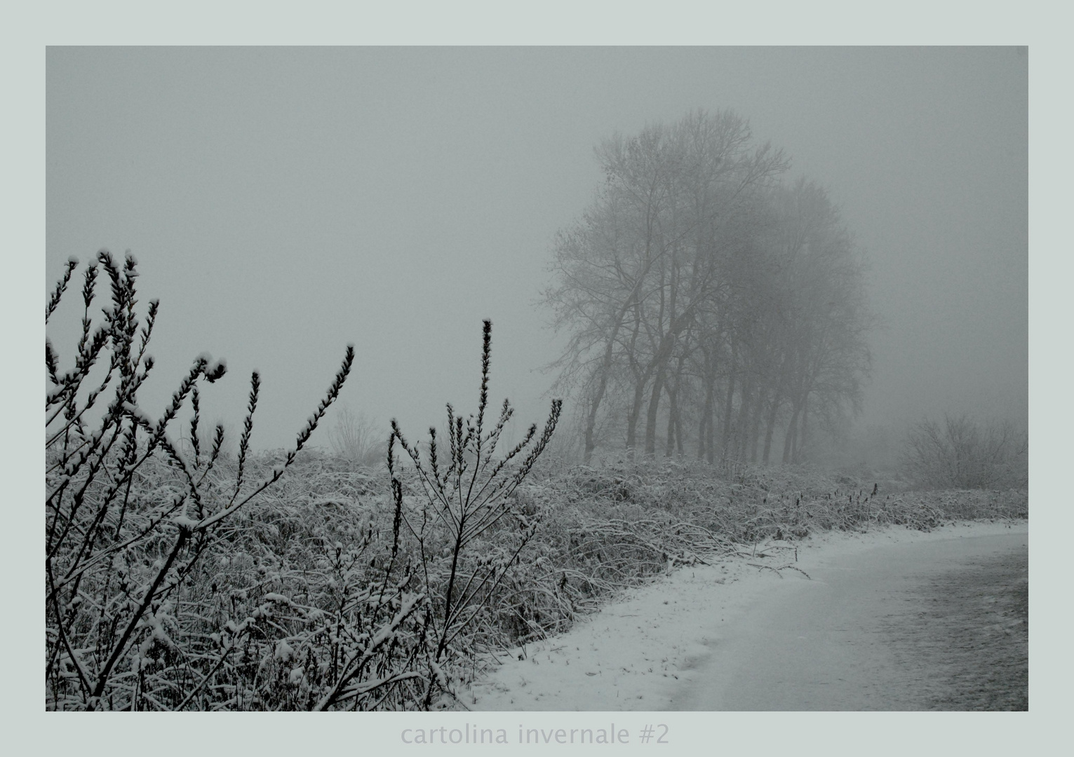 Cartolina invernale