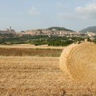 Cartoline da Assisi