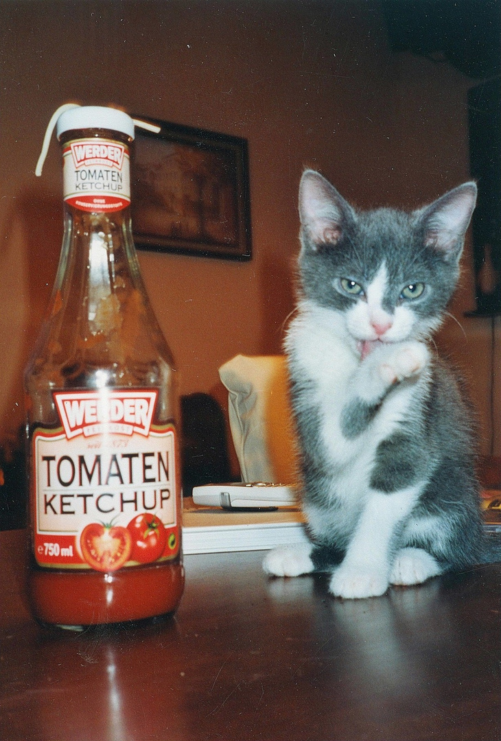 Caruso und der Ketchup