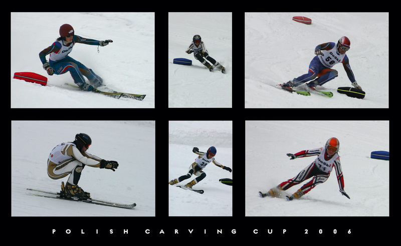 Carving Cup 2006