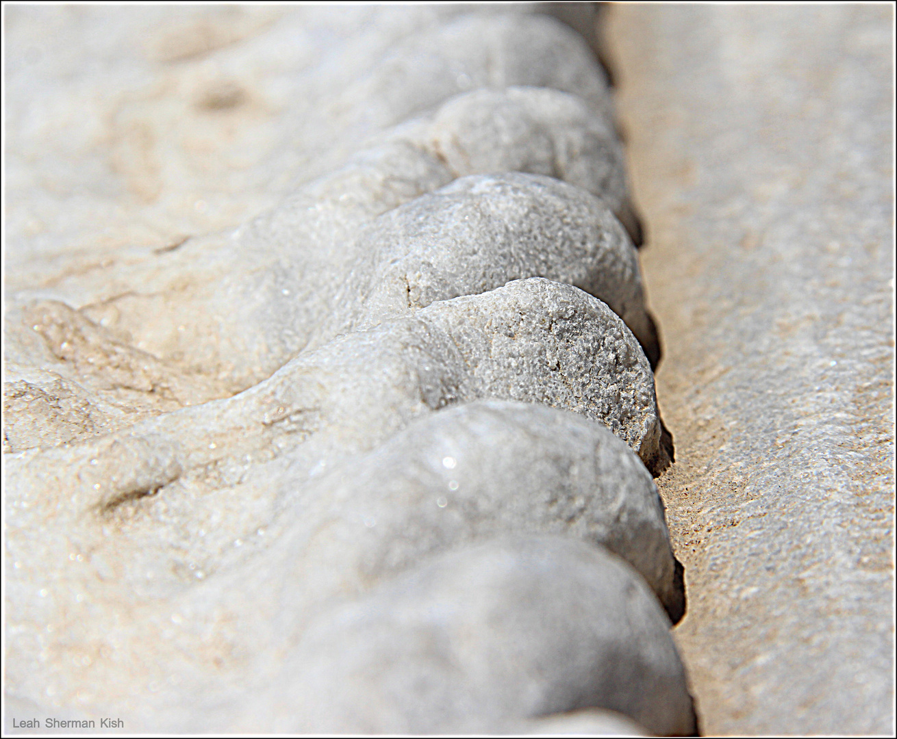 Carvings on a marble sarcophagus