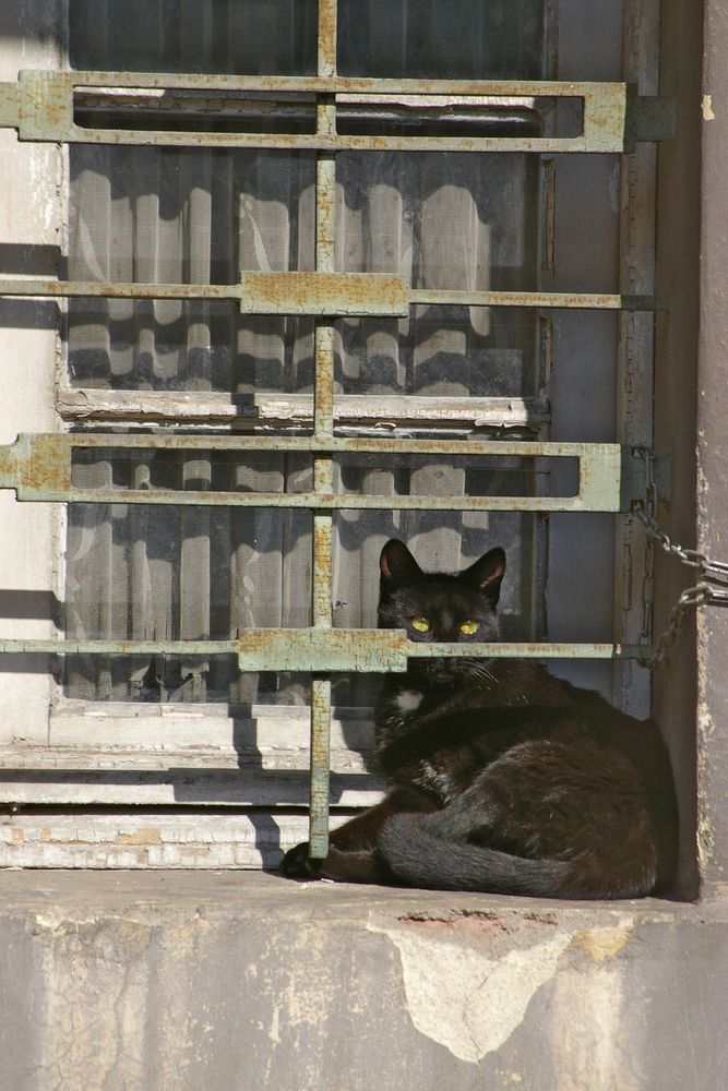 Casa Abandonada de pachi vargas 