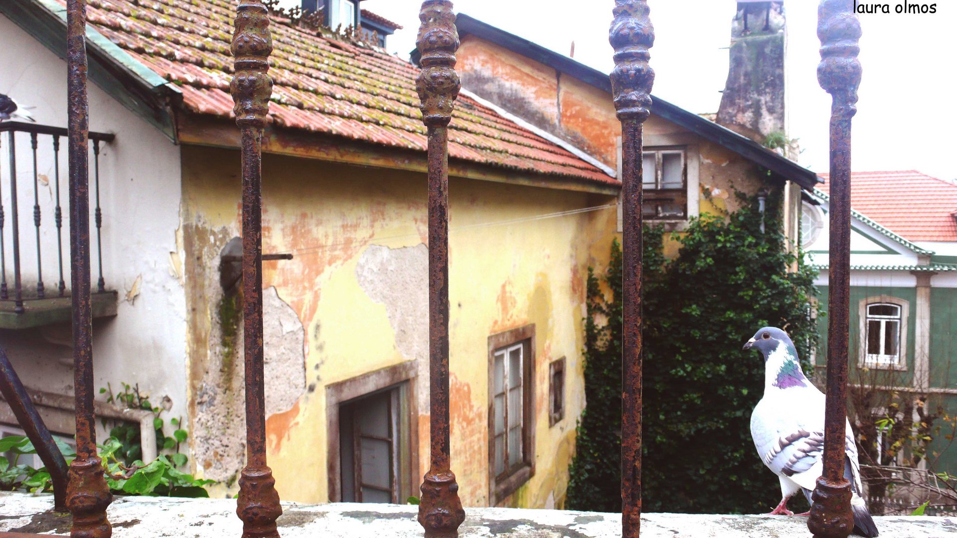 Casa abandonada, Sintra