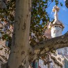 Casa Batllo IV - Barcelona