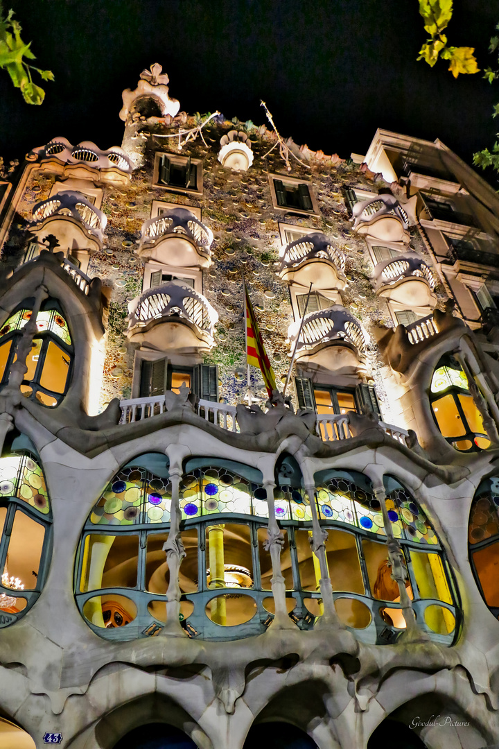 Casa Battló_2