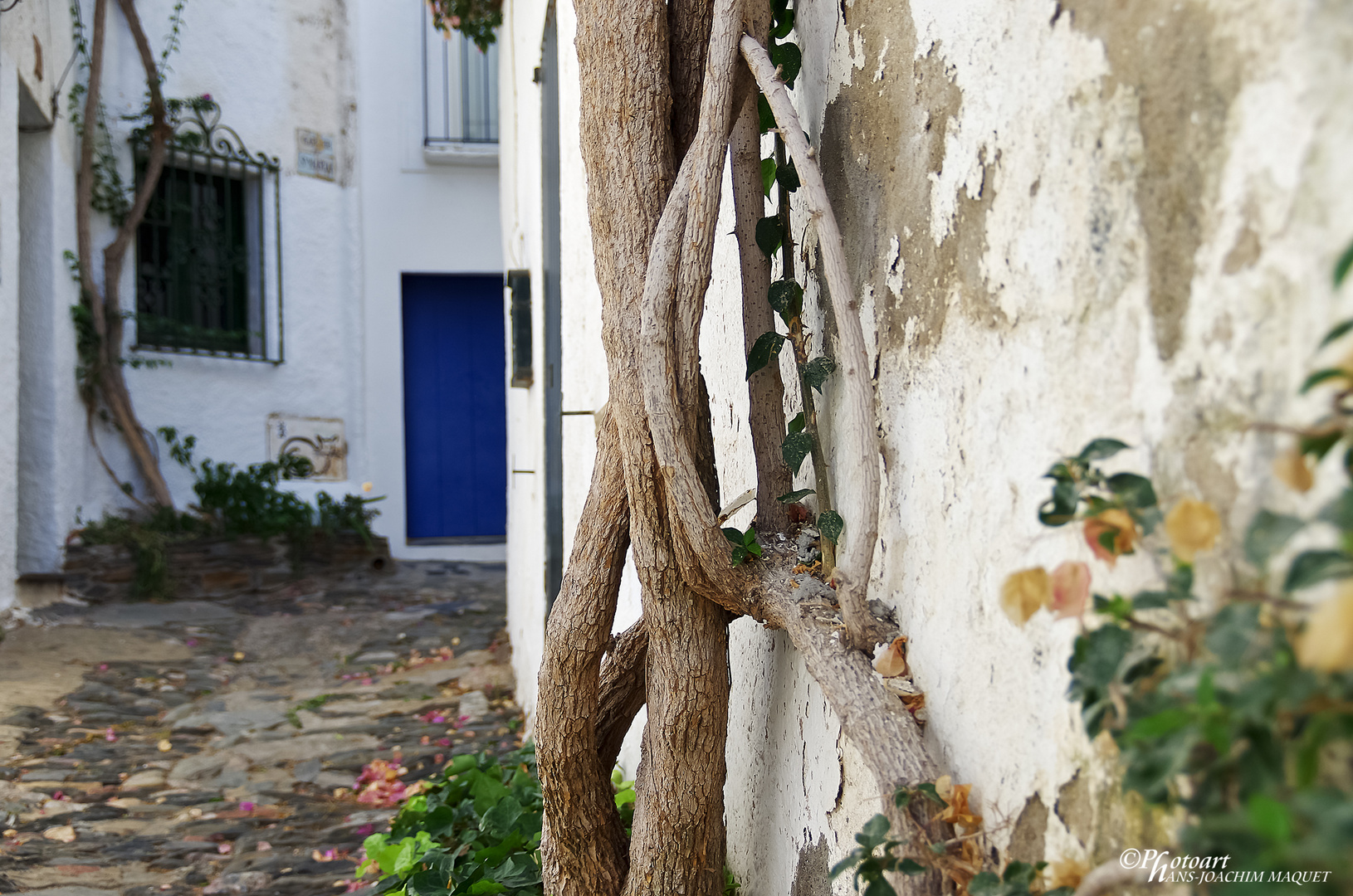 Casa Blaua - Cadaqués