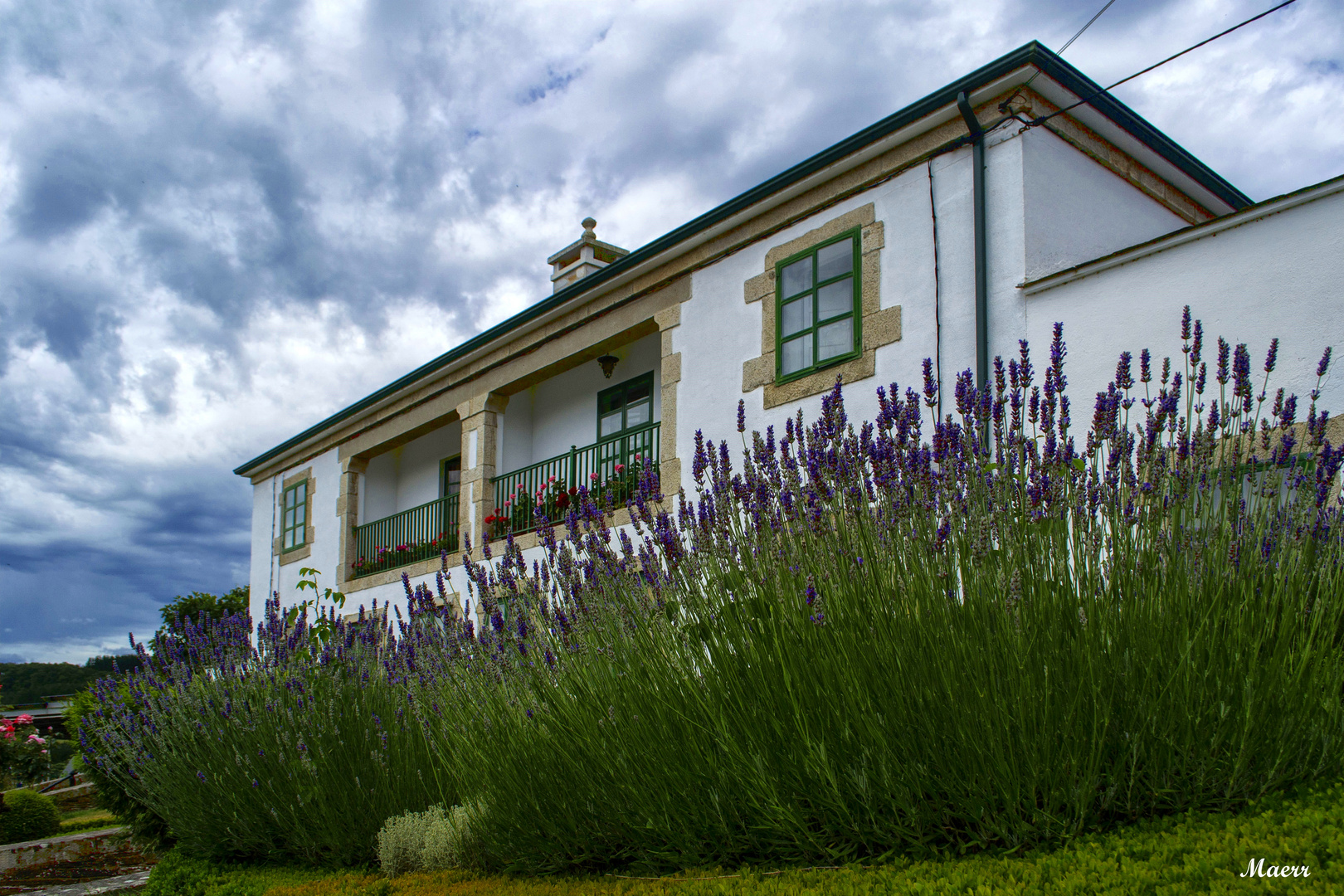 Casa con flores de lavanda. Portomarín. Lugo.