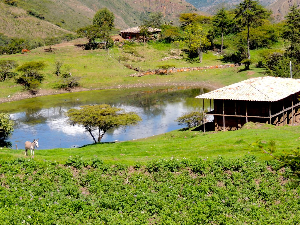 Casa de campoen Cajabamba Perú