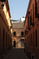 Casa de la Moneda en color albero