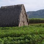 Casa de tabac (Viñales)