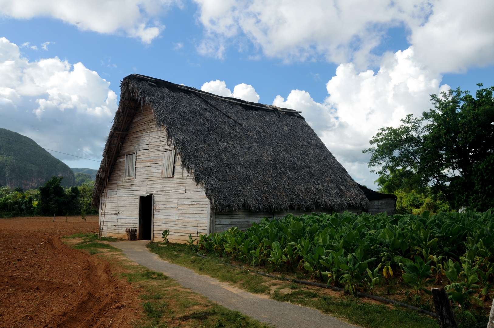 Casa de Tabaco