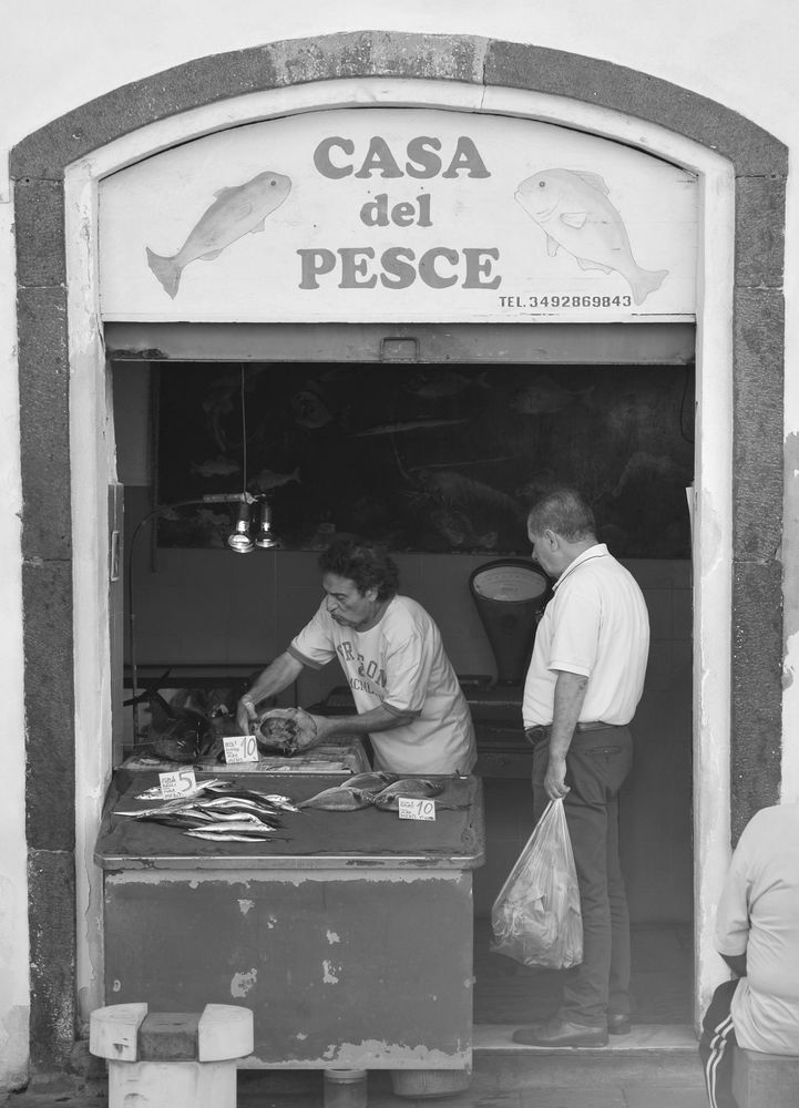 Casa del PESCE