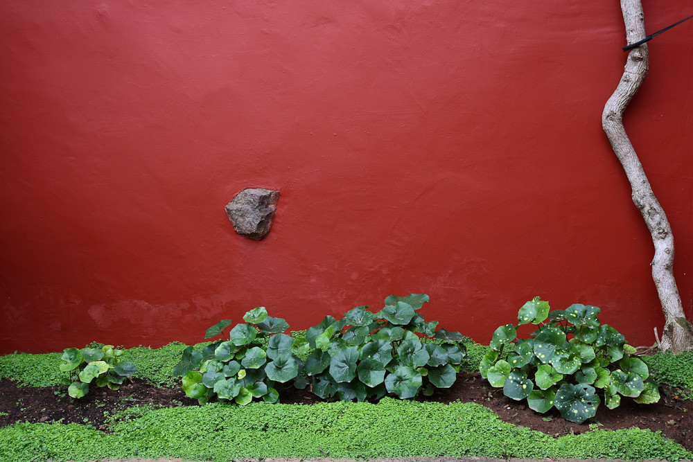 Casa del Vino auf Teneriffa