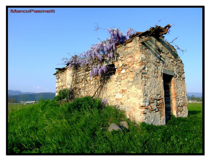 casa diroccata