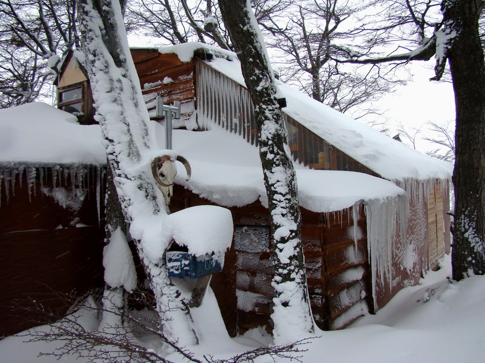 Casa en bosque