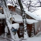 Casa en bosque