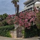 Casa en Dubrovnik