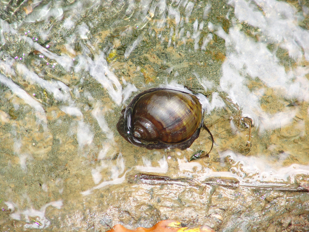 CASA EN EL AGUA