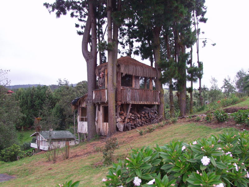 Casa en el arbol