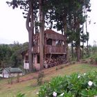 Casa en el arbol