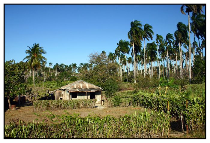 Casa en el campo (3)