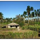 Casa en el campo (3)