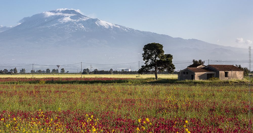 Casa @ Etna