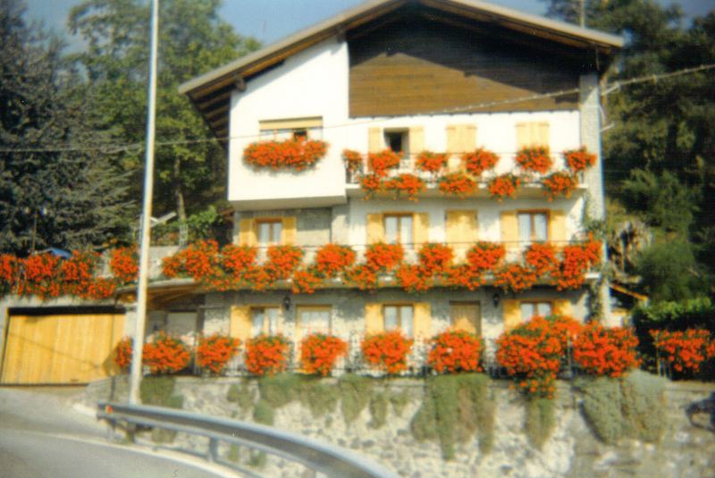 casa piena di fiori rossi