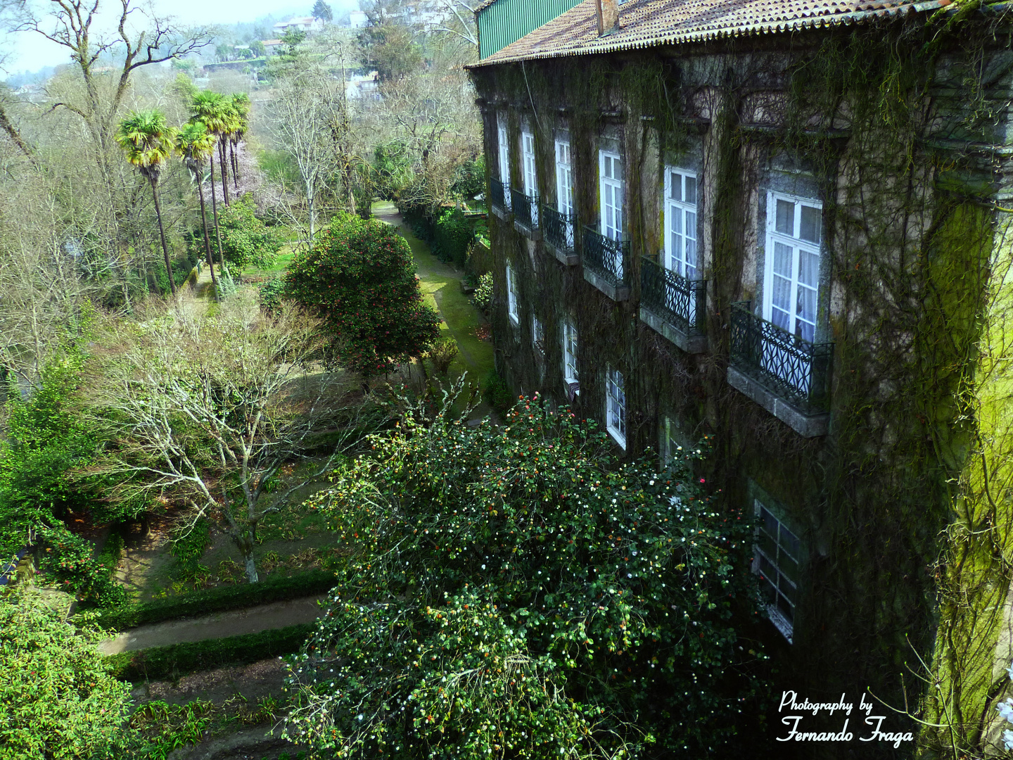 Casa senhorial, Amarante