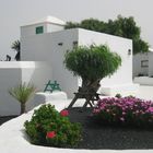 Casa típica ( Lanzarote )